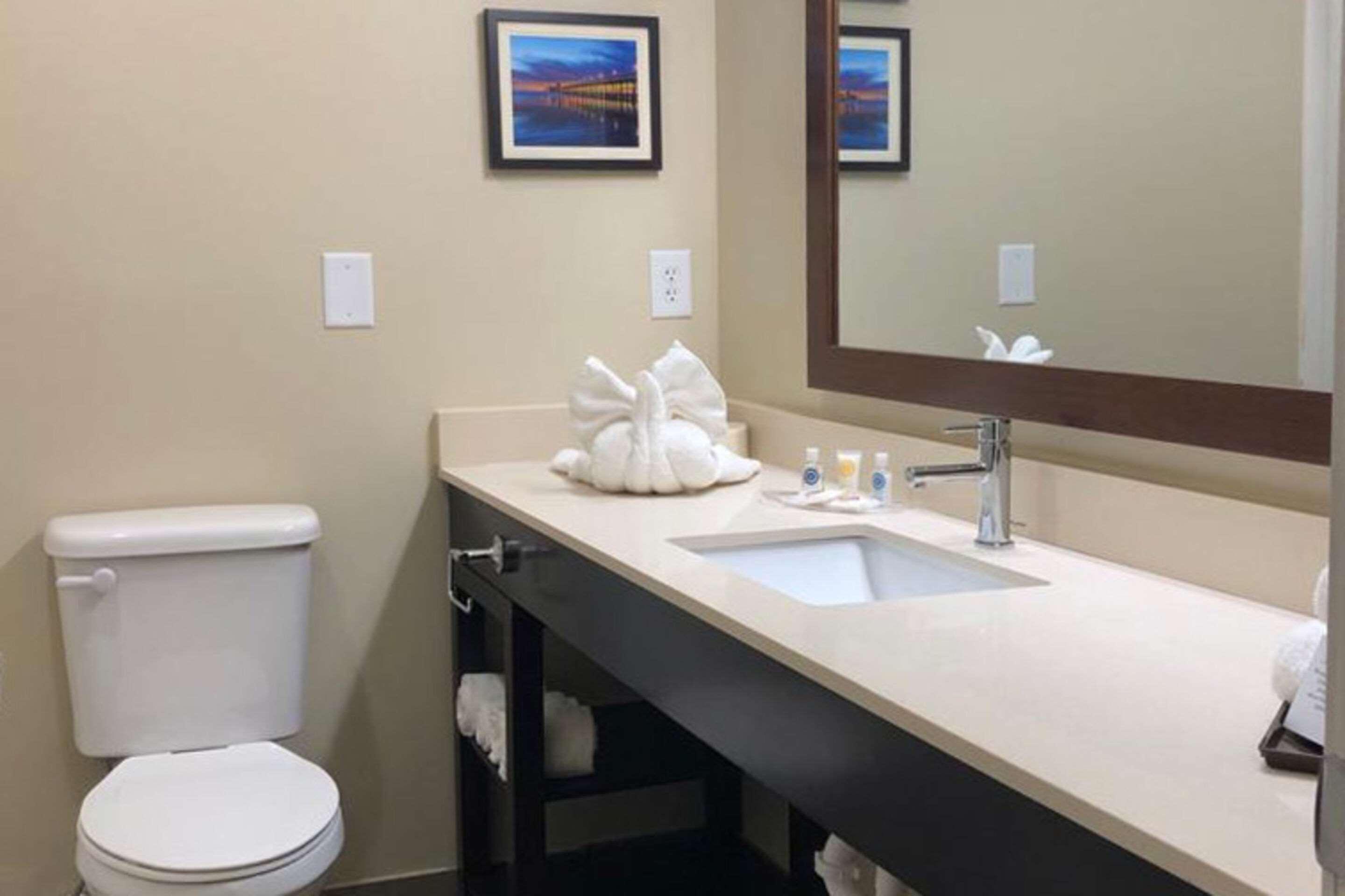 Hotel Comfort Near Camp Lejeune Jacksonville