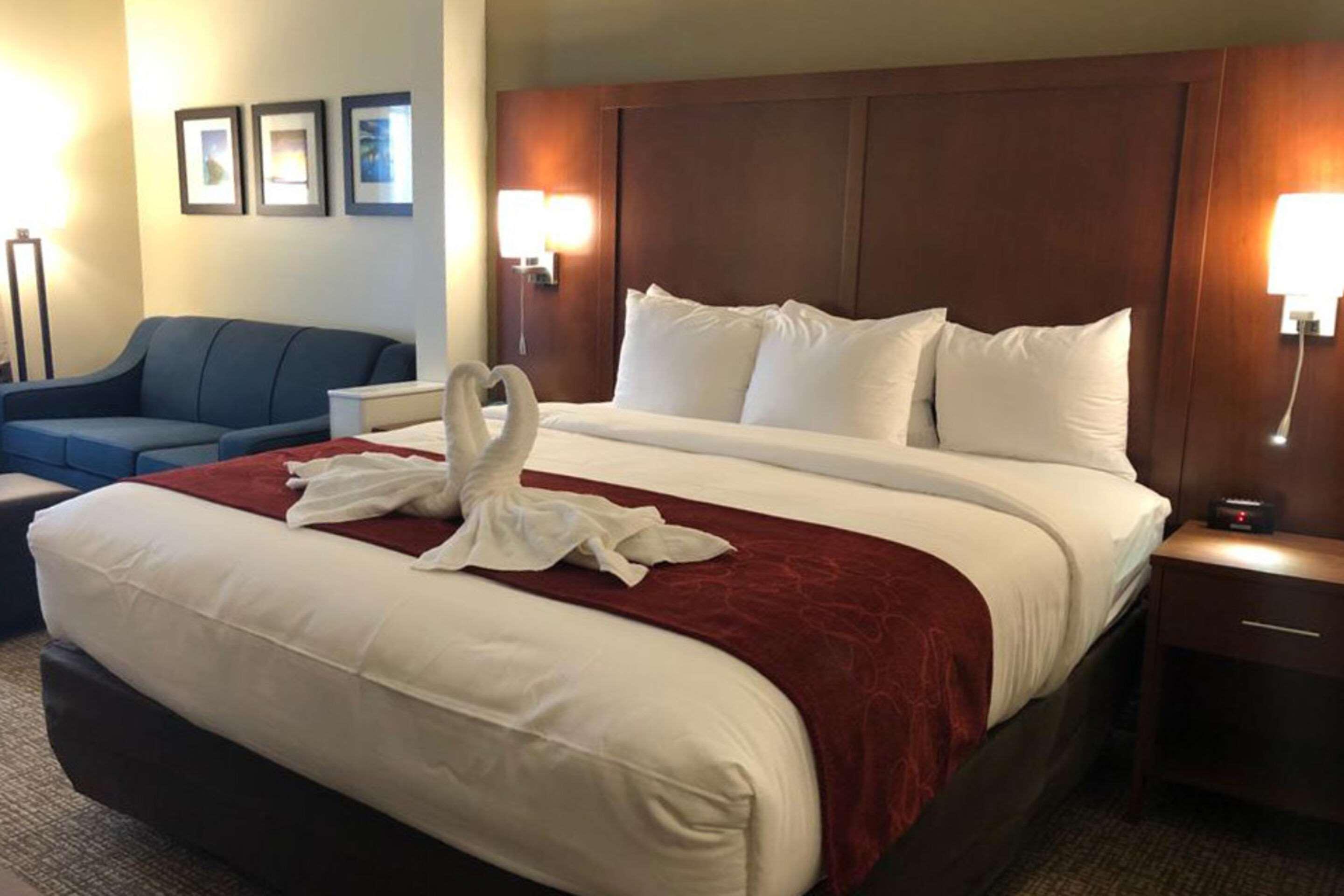 Hotel Comfort Near Camp Lejeune